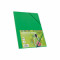 Carpeta con gomas y solapas cartón folio colores Fabrisa verde