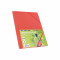Carpeta con gomas y solapas cartón folio colores Fabrisa rojo