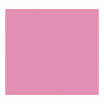 Cartulina de color 50x65cm Iris Canson rosa chicle